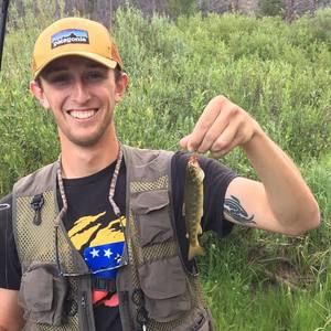 Meet your Posher, Jon